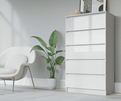 3xEliving Moderní komoda DEMII v jednoduchém stylu do ložnice, obývacího pokoje nebo dětského pokoje s 5 zásuvkami , matná bílá/lesklá bílá 