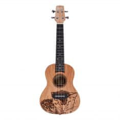 Laila UFG-2311-A CAT - koncertní ukulele