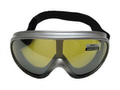 HolidaySport Lyžařské brýle Cortini Yetti G1324 junior stříbrné