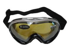 HolidaySport Lyžařské brýle Cortini G1378K-2 junior stříbrno-černé