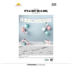 Guirca Banner Gender Reveal Boy or Girl 220cm