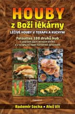 Radomír Socha: Houby z Boží lékárny - Léčivé houby v terapii a kuchyni