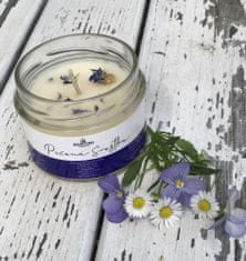 Santini Cosmetics Přírodní svíčka ze včelího vosku - Pečená švestka
