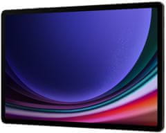 Samsung Galaxy Tab S9+, 12GB/512GB, Gray
