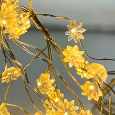 EDANTI Drátěná Girlanda Světla 20 Led Baterie Vánoční Dekorace Teplá Bílá 95 Cm Květiny
