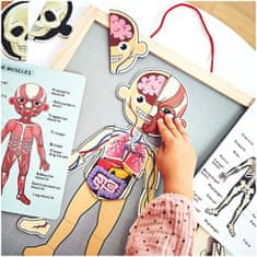 Mamabrum Magnetické hádanky - Věda o anatomii - Lidské tělo