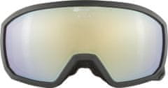 Alpina Lyžařské brýle Scarabeo JR. QLite