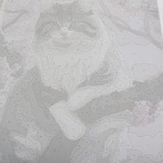 Maaleo Malování podle čísel 50x40cm - kočka