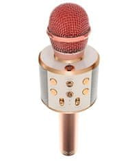 AUR Karaoke mikrofon WS-858 