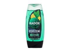Radox 225ml refreshment menthol and citrus 3-in-1 shower