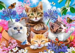 Castorland Puzzle CASTORLAND 120 dílků - Koťata s květinami