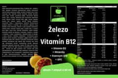 FIT-STYL.CZ Železo + vitamín B12 ampule 7x60ml