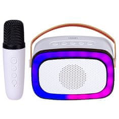 Trevi XR 8A01 Miniparty Karaoke speaker + BT B