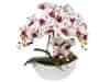 Umělá orchidej v květináči, bílá a vínová, realistická, 3 výhonky 53 cm 