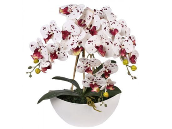 sarcia.eu Umělá orchidej v květináči, bílá a vínová, realistická, 3 výhonky 53 cm