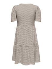 Jacqueline de Yong Dámské šaty JDYCARLA Regular Fit 15254680 Chateau Gray (Velikost XS)