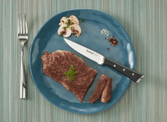 Tefal ICE FORCE 4x nerezový nůž na steak 11 cm