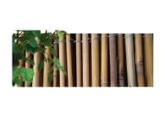 NOHEL GARDEN Rohož bambusová 1,5 m x 3 m