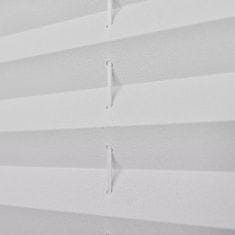 Greatstore Plisované žaluzie / rolety Plisse 110 x 100 cm - bílé