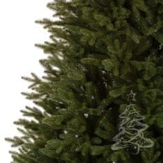 Vánoční stromek Smrk Kanadský 220 cm
