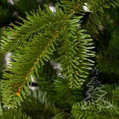 Vánoční stromek Jedle Kavkazská 250 cm