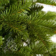 Vánoční stromek Jedle Kavkazská 250 cm