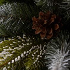 Vánoční stromek Smrk Pyrenejský 220 cm