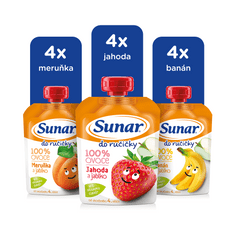 Sunar Do ručičky ovocná kapsička mix příchutí 12 x 100 g