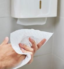 Papernet Papírové ručníky 2-vr.celulóza s antimikrobiální přísadou balení 3150 ks