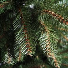 Vánoční stromek Smrk Kavkazský 2D 180 cm