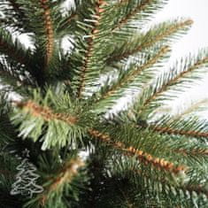Vánoční stromek Smrk Kavkazský 2D 220 cm