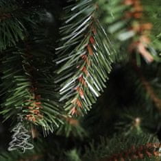 Vánoční stromek Smrk Kavkazský 2D 180 cm