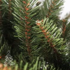 Vánoční stromek Smrk Kavkazský 2D 150 cm