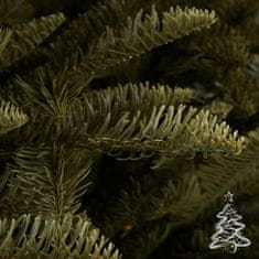 Vánoční stromek Jedle Kavkazská 100 % 220 cm