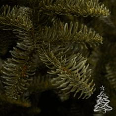 Vánoční stromek Jedle Kavkazská 100 % 250 cm