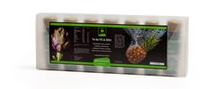 FIT-STYL.CZ To be Fit & Slim - tekutý doplněk stravy z extraktu z artyčoku a zeleného čaje, 7 ampulí á 60ml 