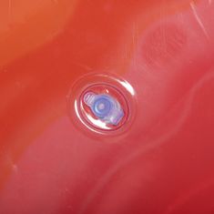 Bestway Nafukovací kruh 36163 RAINBOW RIBBON TUBE JELLY 115 cm červená červená