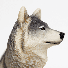 Safari Ltd. Vlk obecný