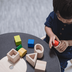 Plan Toys Geometrická vkládačka