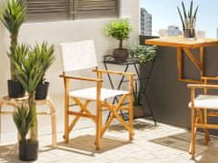 Beliani Balkonový skládací stůl z akátového dřeva 60 x 40 cm světlý UDINE