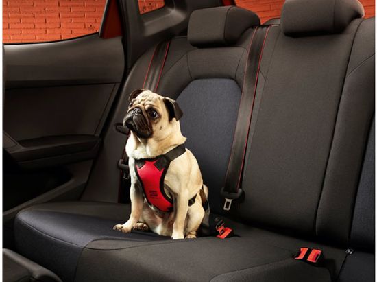 SEAT bezpečnostní postroj pro psa, XL