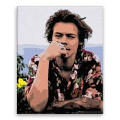 Malujsi Malování podle čísel - Harry Styles 04 - 80x100 cm, bez dřevěného rámu
