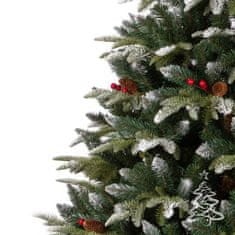 Vánoční stromek Jedle Horská 250 cm