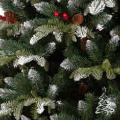 Vánoční stromek Jedle Horská 150 cm