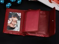 Alessandro Paoli G11 Dámská kožená peněženka šedá