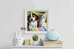 ISO Diamantové malování - pes a kočka