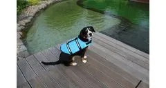 Merco Dog Swimmer plovací vesta pro psa modrá, L