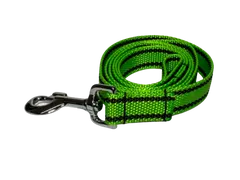 Palkar Vodítko přepínací z popruhu pro psy 250 cm x 25 mm světle-zelená s páskami