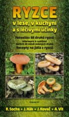 Radomír Socha: Ryzce - v lese, v kuchyni a s léčivými účinky