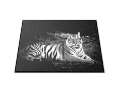 Glasdekor Krájecí podložka ležící černobílý tygr 30x40cm aj. - Prkénko: 30x20cm